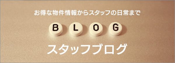 スタッフブログ
